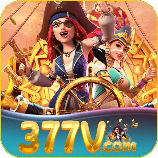 377v.com